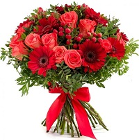  ....     . Belflower -    .     .