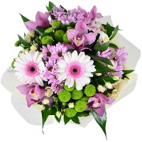  .     . Belflower -    .     .