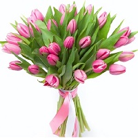  .     . Belflower -    .     .
