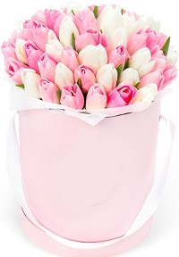  .     . Belflower -    .     .