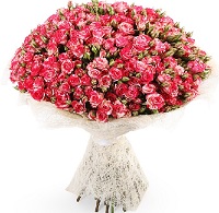  .     . Belflower -    .     .