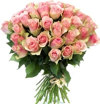  .     . Belflower -    .     .