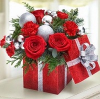     !.     . Belflower -    .     .