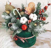 Miracles in the New Year.     . Belflower -    .     .