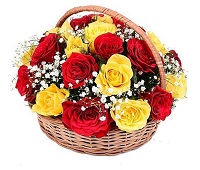  .     . Belflower -    .     .