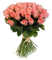 My darling.     . Belflower -    .     .