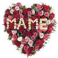   !.     . Belflower -    .     .