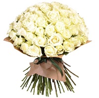   .     . Belflower -    .     .