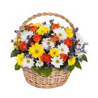  .     . Belflower -    .     .