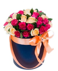  .     . Belflower -    .     .