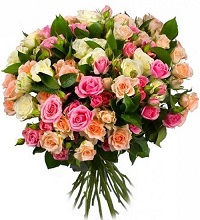  ,  !.     . Belflower -    .     .