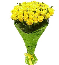  .     . Belflower -    .     .