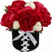  !.     . Belflower -    .     .