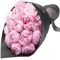    .     . Belflower -    .     .