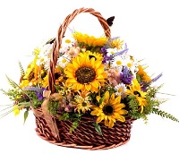  .     . Belflower -    .     .