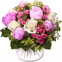 !.     . Belflower -    .     .