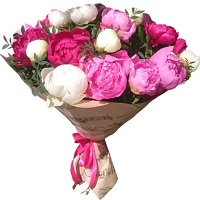   !.     . Belflower -    .     .