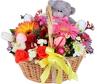   !.     . Belflower -    .     .