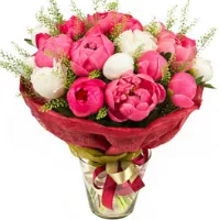  !.     . Belflower -    .     .