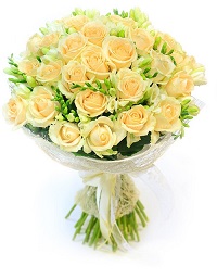  .     . Belflower -    .     .