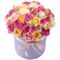  .     . Belflower -    .     .