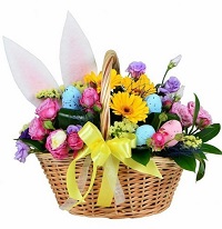  !.     . Belflower -    .     .