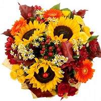  .     . Belflower -    .     .