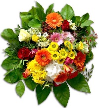  .     . Belflower -    .     .