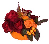Halloween today!.     . Belflower -    .     .