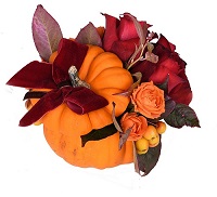 Holiday elegance.     . Belflower -    .     .