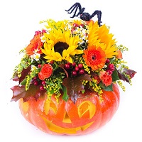 Happy Halloween.     . Belflower -    .     .