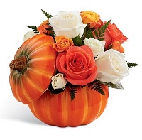 October 31.     . Belflower -    .     .