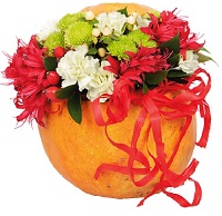  ....     . Belflower -    .     .