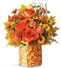Ҹ .     . Belflower -    .     .