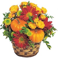  .     . Belflower -    .     .