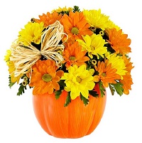  !.     . Belflower -    .     .