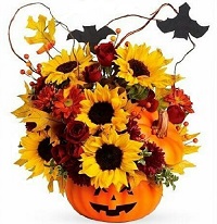  !.     . Belflower -    .     .