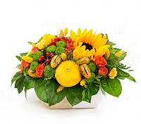  .     . Belflower -    .     .