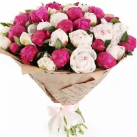 My dream.     . Belflower -    .     .