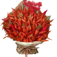    !.     . Belflower -    .     .