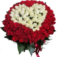   !.     . Belflower -    .     .