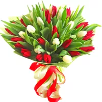  !.     . Belflower -    .     .