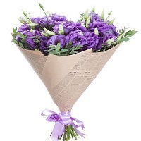  ,  !.     . Belflower -    .     .