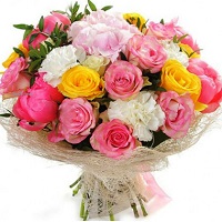  !.     . Belflower -    .     .