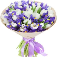   ....     . Belflower -    .     .