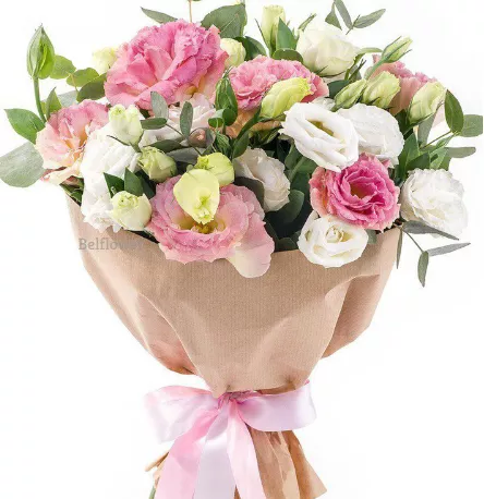  .     . Belflower -    .     .