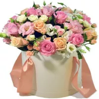  .     . Belflower -    .     .