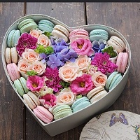  !.     . Belflower -    .     .