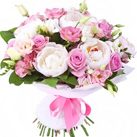 Paradise.     . Belflower -    .     .