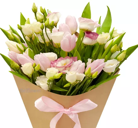  .     . Belflower -    .     .